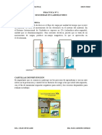 Practica-1-SEGURIDAD LABORATORIO -Electrometalurgia