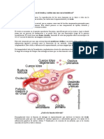 Generalidades Del Óvulo y El Espermatozoide