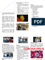 Los Coronavirus Son Una Familia de Virus