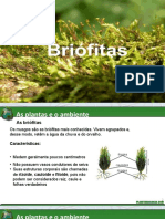 Briófitas