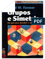 (O Prazer da Matemática) David Farmer - Grupos e Simetria – Um guia para a descoberta Matemática. único-Gradiva (1999)