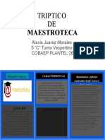 Triptico DE: Maestroteca