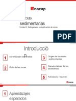 10-Rocas Sedimentarias