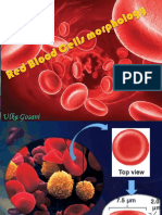 Sites of Blood Formation & Reticulocyte Maturation