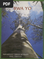 Important Trees of Haiti | PDF | Grafting | Leaf