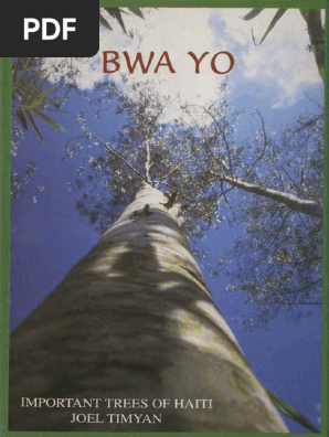 Important Trees of Haiti