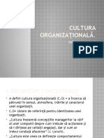 Cultura Organizațională I