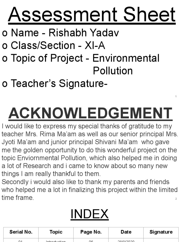 RISHABH YADAV - Chemistry Project | PDF | Smog | Water Pollution