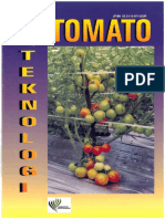 Pt Tomato 1997
