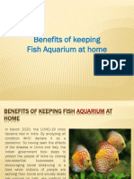 Benefits of keeping fish aquarium at home
