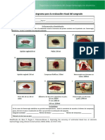 GPC-vigentes_IMSS-162-09_ER.pdf-pagina-48