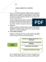 Plan de Gestion Ambiental EXSA