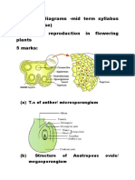 Important Diagrams - Mid Term Syllabus (Chapter Wise) 1. Sexual Reproduction in Flowering Plants 5 Marks