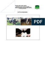 Dairy Cattle Diseases