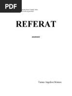 cerebelul referat