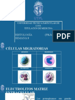 Histologia Semana 7