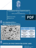 Histologia Semana 4