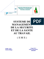 Travail Encadre d Etudiant Systemes de Management de La Sante Et de La Securite Au Travail Sms Doc