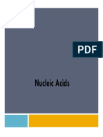 Microsoft PowerPoint - Nucleic Acids