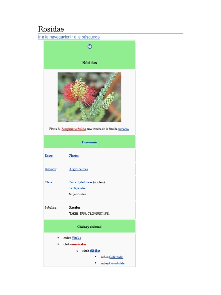Clasificación del grupo Rosidae | PDF | Plantas