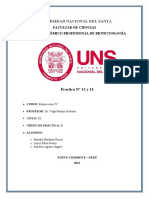 Practica N°13 - BioProcesos IV