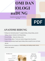 ANATOMI HIDUNG