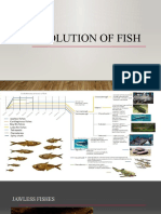 Evolution of Fish