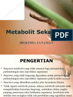 10._Metabolit_Sekunder