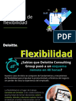 Esquemas-Flexibilidad