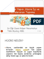 Hücre Zar Yapısı Ve Hücre İçi Ve Hücreler Arası Taşıma