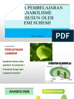 PPG Kemenag - Emi Suhemi - Media PPT - Xii Anabolisme