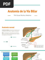 Clasificación de Johnson en Úlceras Pépticas | PDF | Cocina, comidas y ...