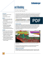 Petrel Geology & Modeling