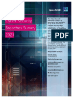 Cyber Security Breaches Survey 2021 Statistical Release