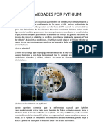 Enfermedades causadas por Pythium spp