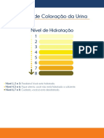 Escala de cores da urina e níveis de hidratação