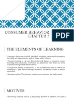 Consumer Learning Elements