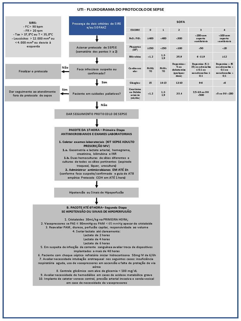 Protocolo de tratamento da sepse na UTI: fluxograma com diretrizes para ...