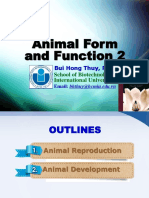 Lecture 11. Animal Form and Function 2