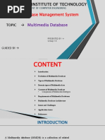 SY14 - Multimedia Database