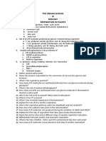 Worksheet Respiration in Plants