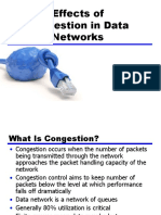 Effects of Congestion in Data Networks