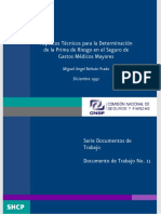 Aspectos Técnicos para La Determinación de La Prima de Riesgo en El Seguro de Gastos Médicos Mayores