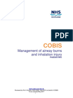 Cobis: Management of Airway Burns and Inhalation Injury