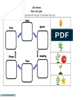 Sprout Seed Fruit: Match The Picture With The Part of The Plant Life Cycle