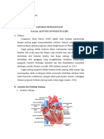 Laporan Pendahuluan CHF 