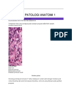 Post Test Patologi Anatomi 1