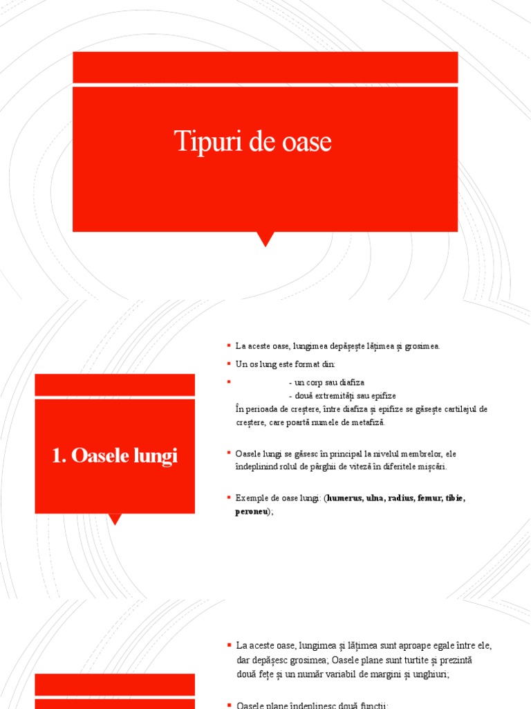 Oase | PDF