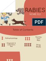 Rabies: NCMB 312
