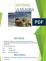 Ecosistemul Marea Neagra